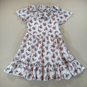Janie and Jack Girls Floral Dress Size 12 Ruffle Collar Cottagecore Cute